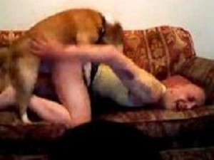 лысого пидора ебёт домашний пес