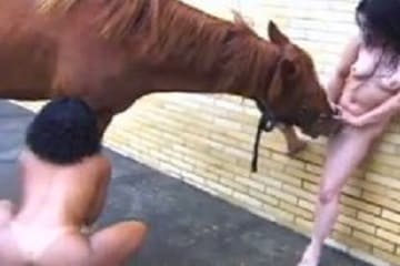 зоо порно с конем две зоофилки