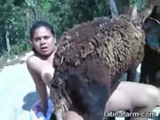 зоо порно ебля с бараном