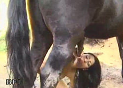 конь ебёт в пизду зоофилку