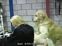 two russian whores fuck with a dog