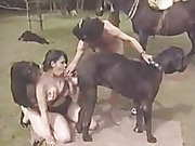зоосекс с собакой и конем на природе групповуха